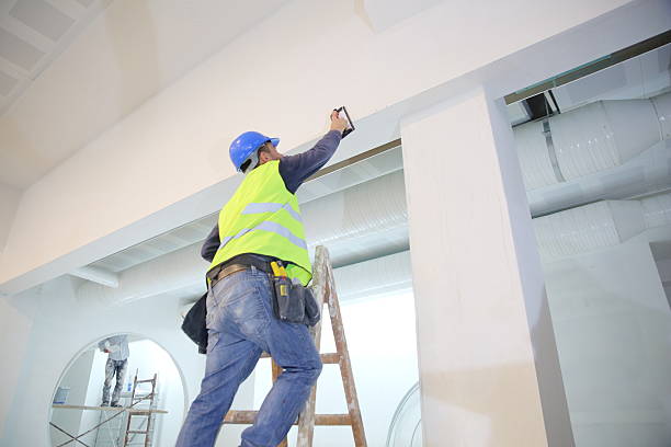 Mold Remediation for Vacation Homes in Millbourne, PA